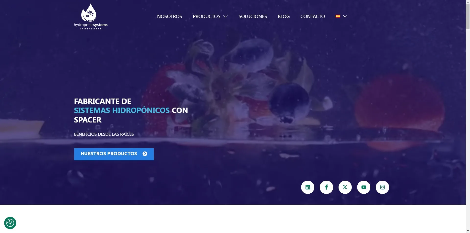 Hydroponic System proyecto realizado con Mark-Sonoma